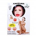   «Angelina 3D»    , 156 