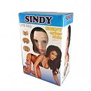   «Sindy-3D»      , 163 