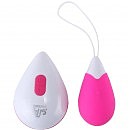     Dream Toys All Time Favorites 10f Remote Egg