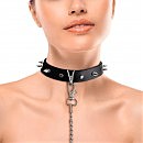      Art of Sex  Collar Spikes and Leash