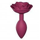    Love To Love OPEN ROSES M SIZE  PLUM STAR