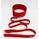    DS Fetish Collar with leash red metal