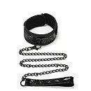     Whipsmart Diamond collar and leash black